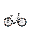 BULLS STURMVOGEL EVO - 29 Zoll 800Wh 5N Trapez - metallic off-white bei uns leasen oder mieten statt teuer kaufen