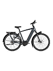 Gazelle Arroyo C5 Elite 600 Herren grau 2026 jetzt leasen oder mieten