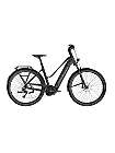 Bulls Cross Lite EVO Carbon 800 Wh Damen trapez grau 2025 Günstig leasen statt kaufen