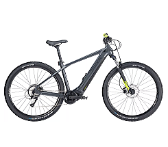 BULLS LT EVO CX 29'' 750 WH GRAU 2024 leasen