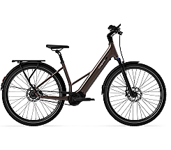 Tenways AGO Air Pro 560 Wh Damen braun 2026, leasen