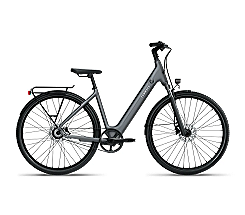 Tenways CGO800S 460 Wh Damen grau 2026, leasen