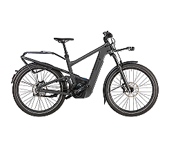 Riese & Müller Delite5 GT Pinion 800 Wh grau