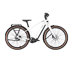 BULLS STURMVOGEL EVO - 29 Zoll 800Wh 5N Diamant - metallic off-white bei uns leasen oder mieten statt teuer kaufen 