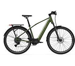Tenways AGO X Special Edition 560 Wh Herren grün 2026, leasen