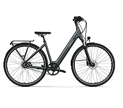 TENWAYS - CGO800S EBike jetzt leasen, Pebble Grey