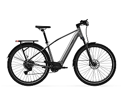 Tenways AGO X Special Edition 560 Wh Herren silber 2026, leasen