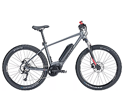 BULLS LT CX 29 Zoll 545 WH GRAU 2024 als Leasing