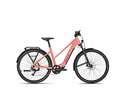 BULLS CROSS LITE EVO SX 1 - 29 Zoll 400Wh 10K Trapez - peach matte bei uns leasen oder mieten statt teuer kaufen