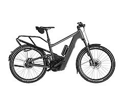 Riese & Müller Delite5 Rohloff 1050 Wh Herren grau 2026