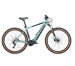 BULLS COPPERHEAD EVO 1 29 Zoll 625 WH GRÜN 2024 bei uns leasen