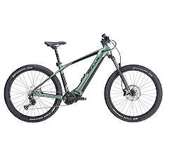 BULLS COPPERHEAD EVO 3 29 Zoll 750 WH GRÜN 2024 bei uns leasen