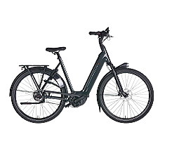 Gazelle Arroyo C5 Elite 600 Damen grau 2026 günstig leasen oder mieten