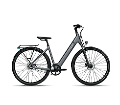 Tenways CGO800S 460 Wh Damen grau 2026, leasen