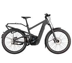 Riese und Mueller Delite5 GT pinion 2025 Leasing für jeden