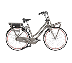 Gazelle Miss Grace C7+ RT 500 Damen grün 2026 bei uns günstig leasen oder mieten