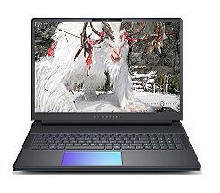 Alienware 18 Area-51 (M497W), Gaming-Notebook, leasen