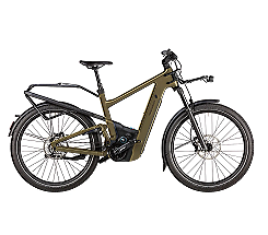 Riese & Müller Delite5 GT Pinion 800 Wh braun