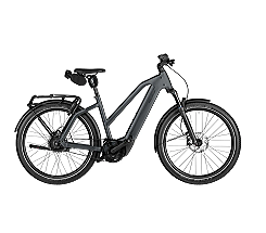 Riese & Müller Charger5 vario 800 Wh Damen Mixte grau 2026