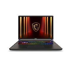 MSI Vector 17 HX A2XWJG-039 17