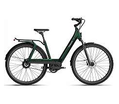 Tenways AGO-T E Bike Damen Trekking Tiefeinsteiger Riemenantrieb Grün  2025 leasen statt kaufen