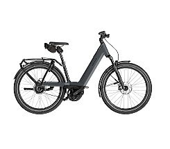 Riese & Müller Nevo5 vario Comf Kit 800 Wh Damen grau