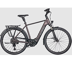 KTM Macina Style 710 750 Wh Herren grau 2025