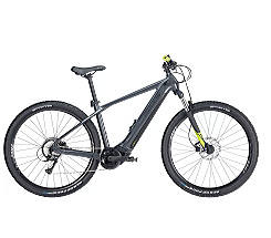 BULLS LT EVO CX 29 Zoll 625 WH GRAU 2024 leasen