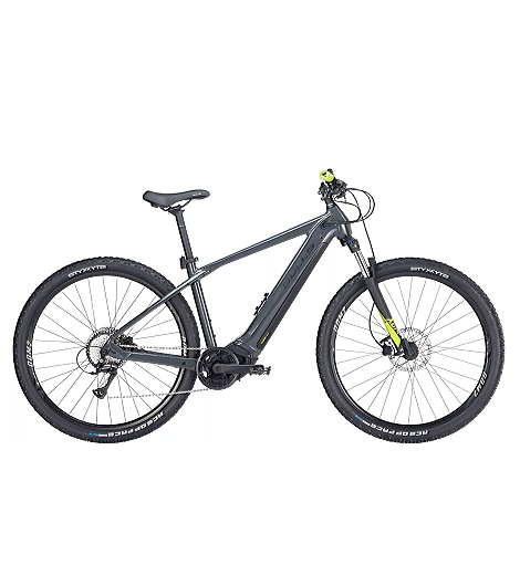 BULLS LT EVO CX 29 Zoll 750 WH GRAU 2024 leasen