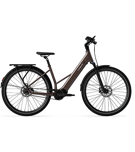 Tenways AGO Air Pro 560 Wh Damen braun 2026, leasen