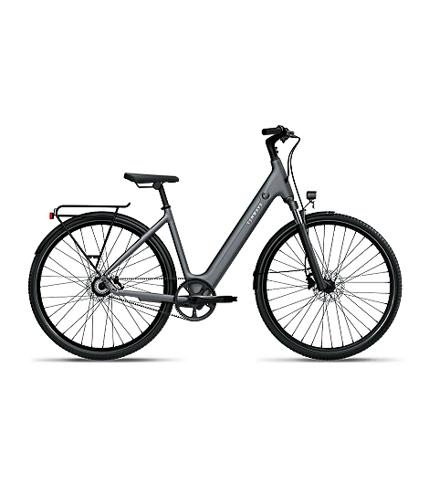 Tenways CGO800S 460 Wh Damen grau 2026, leasen