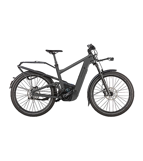 Riese & Müller Delite5 GT Pinion 800 Wh grau