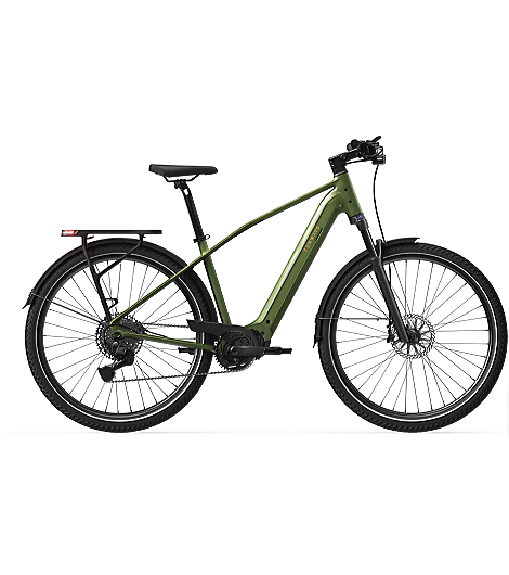 Tenways AGO X Special Edition 560 Wh Herren grün 2026, leasen