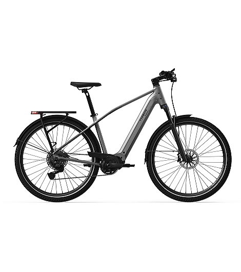 Tenways AGO X Special Edition 560 Wh Herren silber 2026, leasen
