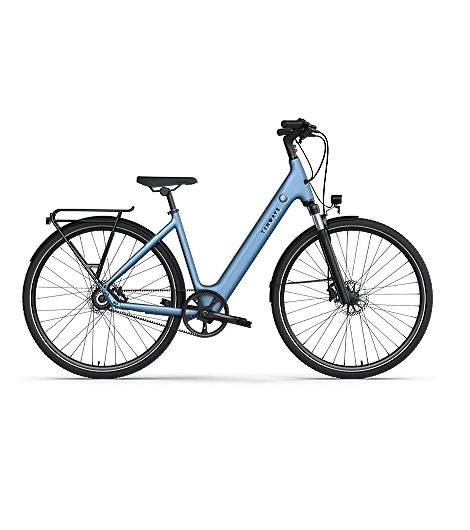 E-Bike TENWAYS CGO800S Sky Blue, jetzt leasen