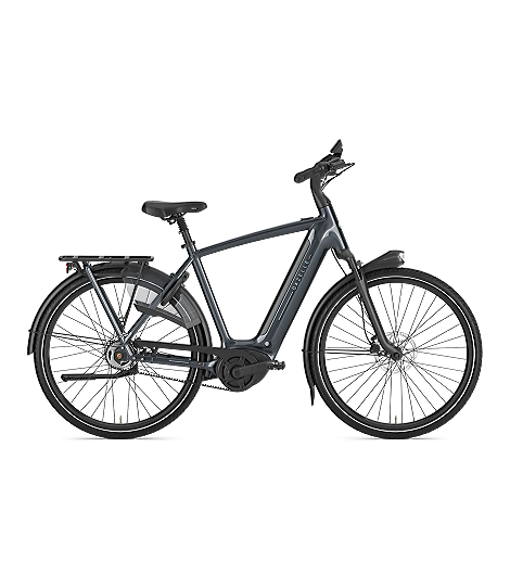 Gazelle Arroyo C5 Elite 600 Herren grau 2026 jetzt leasen oder mieten