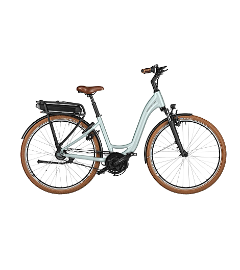 Riese & Müller Swing4 Rücktritt 500 Wh grün