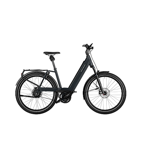 Riese & Müller Nevo4 GT vario 750 Wh grau