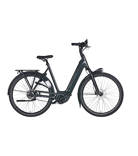 Gazelle Arroyo C5 Elite 600 Damen grau 2026 günstig leasen oder mieten