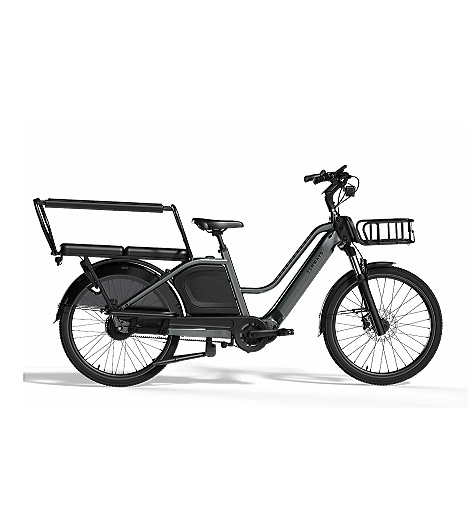 Tenways Longtail Duo 720 Wh grau 2026, leasen