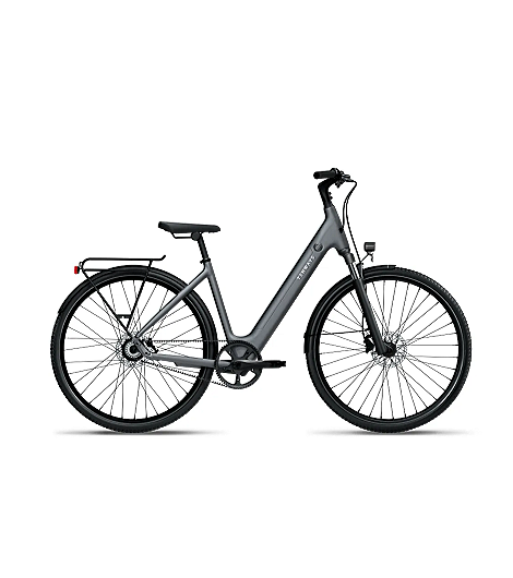 Tenways CGO800S 460 Wh Damen grau 2026, leasen