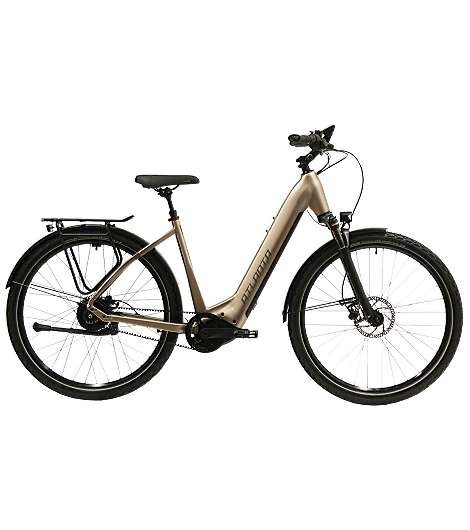 Atlanta Rueckenwind IN 4.0 750Wh Wave 2024 im Leasing