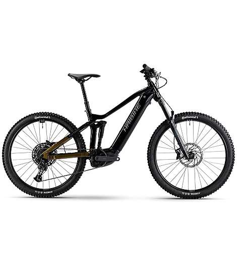 Haibike Alltrail 10 2025 leasen