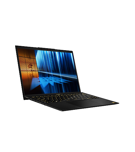 MSI Prestige 13 AI+ Ukiyoe Edition A2VMG-214 W11H, Notebook, leasen